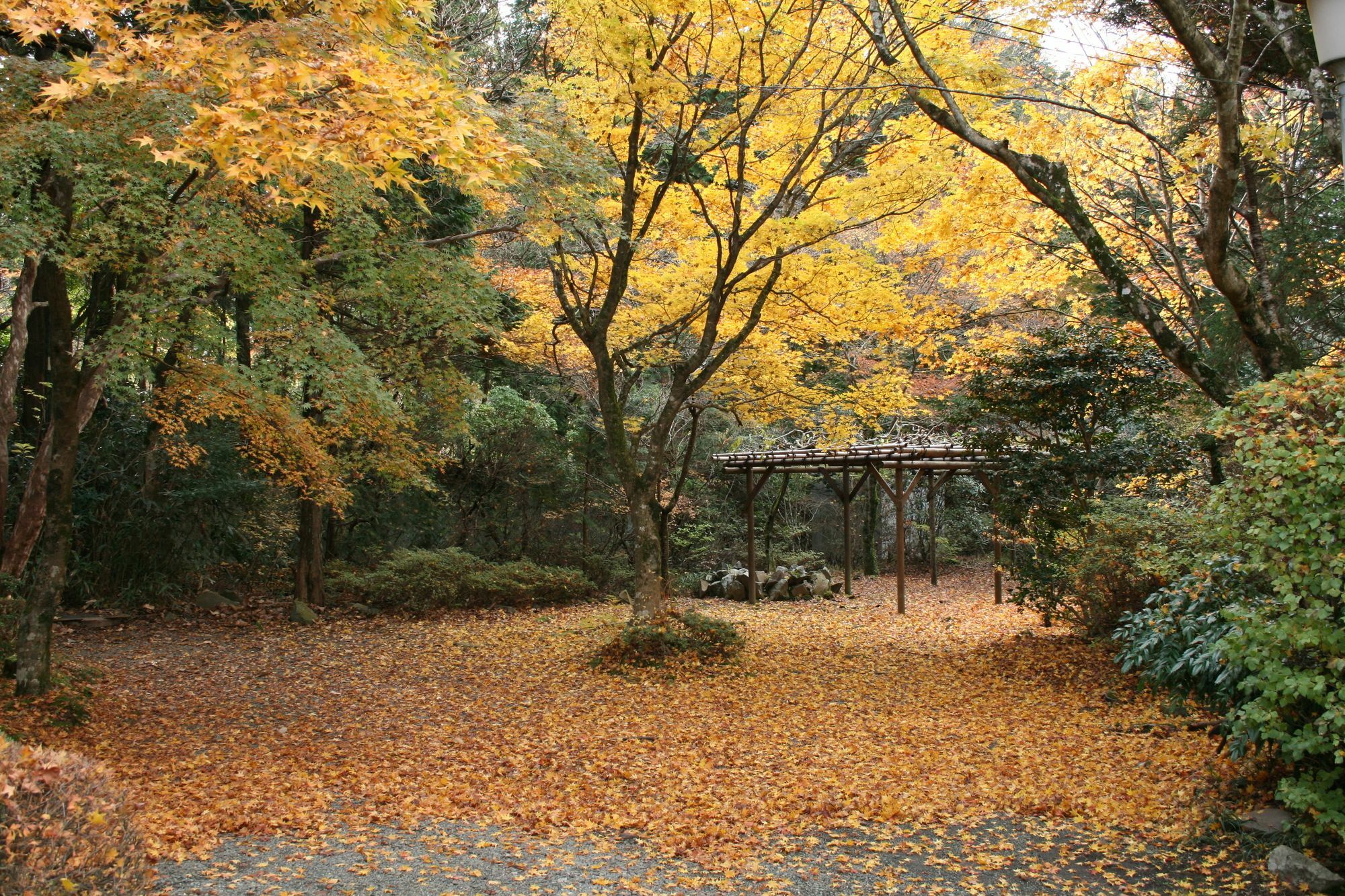 Senkyoro Hotel Hakone Exterior foto